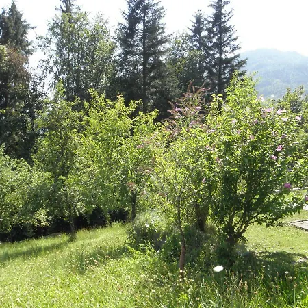 Ferienhaus-Loidl Bad Ischl Exterior foto