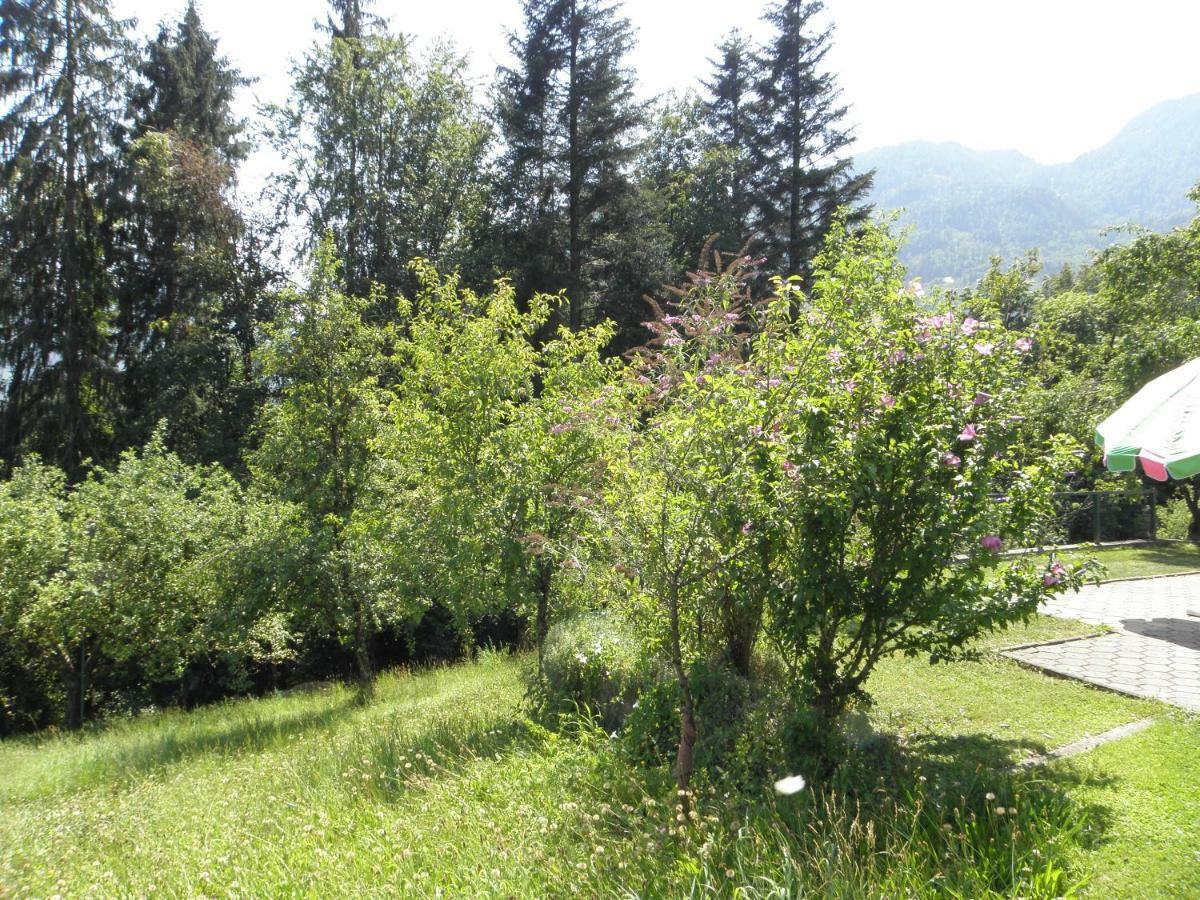 Ferienhaus-loidl Holiday home